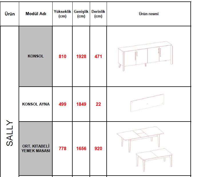 SALLY YEMEK ODASI TAKIMI (ANTRASIT GRI-M. KROM)